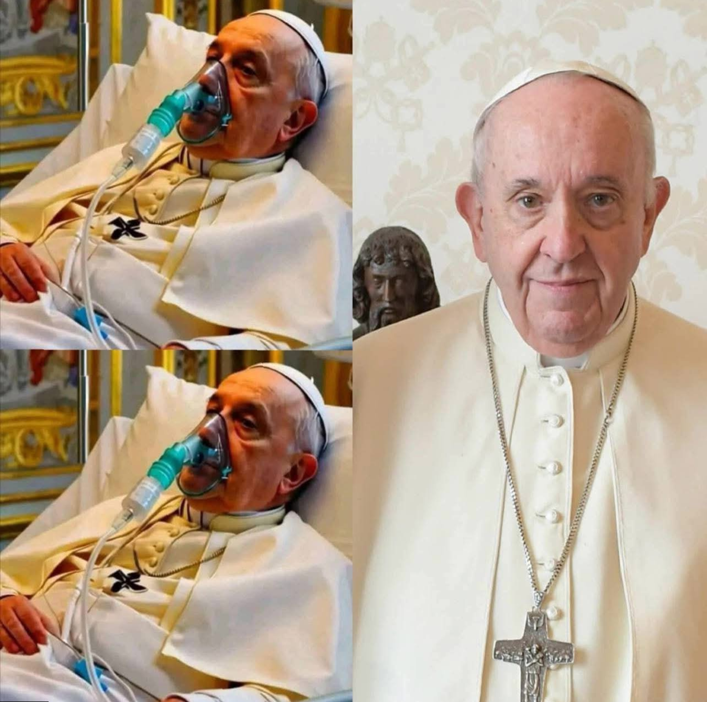 190 Breaking News! His Holiness Pope Francis has failed….. See more